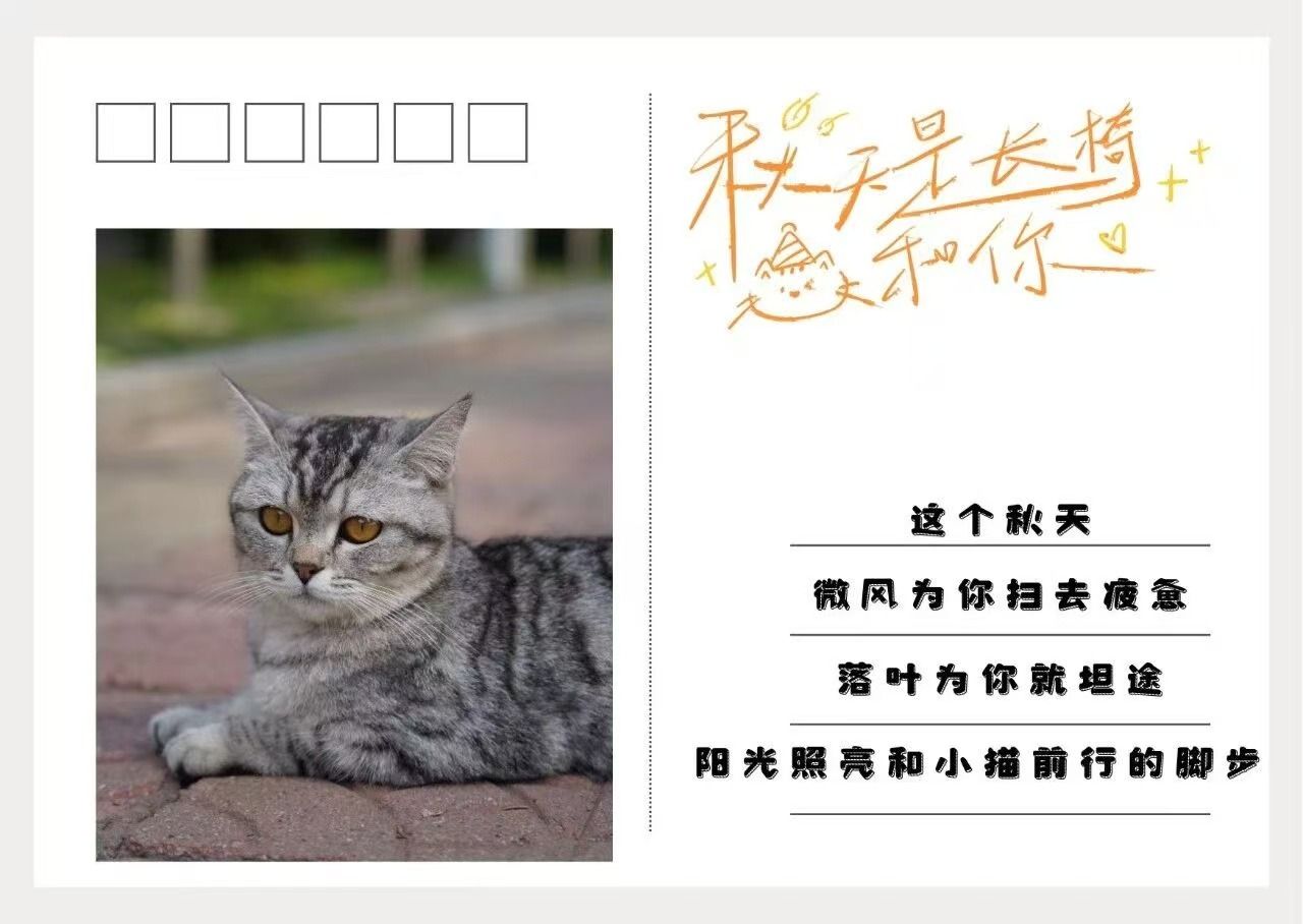 亚洲熟女乱色综合亚洲小说